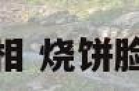 烧饼面相 烧饼脸的意思