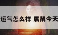 属鼠今天运气怎么样 属鼠今天运气好吗