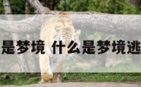 什么是梦境 什么是梦境逃脱术