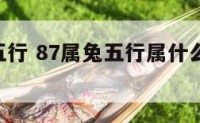 87属兔五行 87属兔五行属什么,五行缺什么