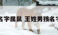 王姓男孩名字属鼠 王姓男孩名字属鼠取名