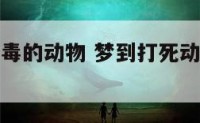 梦见打死有毒的动物 梦到打死动物出了好多血