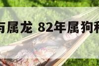 82年属啥与属龙 82年属狗和88年属龙相配吗