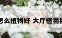 大厅放怎么植物好 大厅植物摆放风水