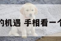 手相看人的机遇 手相看一个人的命运