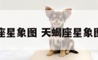 天蝎座星象图 天蝎座星象图连线