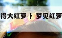 梦见地理长得大红萝卜 梦见红萝卜地是什么意思