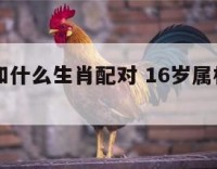 16岁属和什么生肖配对 16岁属相属什么的啊