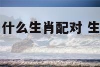 生肖生肖羊和什么生肖配对 生肖羊和什么生肖相配