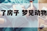 梦见动物变成了房子 梦见动物变成了房子什么意思