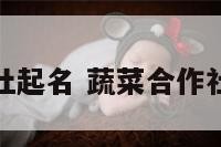 给蔬菜合作社起名 蔬菜合作社起名大全集