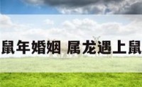 属龙人遇鼠年婚姻 属龙遇上鼠年怎么样