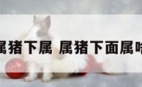 属猪下属 属猪下面属啥