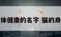 猫形容身体健康的名字 猫的身体形容词