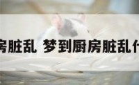 梦到厨房脏乱 梦到厨房脏乱什么预兆