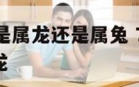 76年早产是属龙还是属兔 76 年 出生属于什么龙