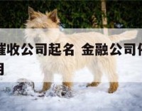 金融服务催收公司起名 金融公司催收员大概多少钱一月