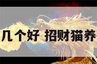 招财猫一般养几个好 招财猫养大了值多少钱