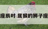 猴年狮子座辰时 属猴的狮子座每月运势