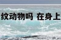 身上纹身可以纹动物吗 在身上纹动物对运势的影响