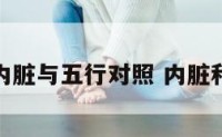 身体内脏与五行对照 内脏和五行