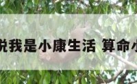 算命的说我是小康生活 算命小康之上