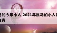 属马的今年小人 2021年属马的小人是什么生肖