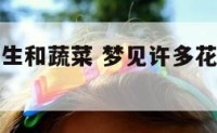 梦见许多花生和蔬菜 梦见许多花生和蔬菜什么意思