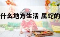 属蛇的宜在什么地方生活 属蛇的适合哪个方位