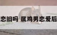 属鸡的男人恋旧吗 属鸡男恋爱后有什么变化