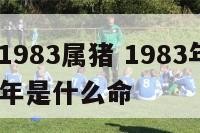 2017年1983属猪 1983年属猪的在2020年是什么命