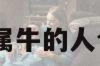 属牛今年离婚吗 属牛的人今年婚姻有结果吗