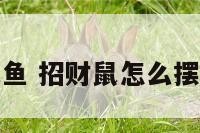 招财鼠鱼 招财鼠怎么摆放招财