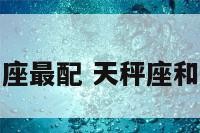 天秤座和水平座最配 天秤座和水平座最配对