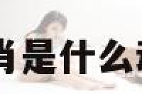 遂意十二生肖是什么动物 遂 意思