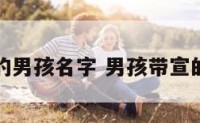 付宣的男孩名字 男孩带宣的名字