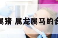 属龙属马属猪 属龙属马的合不合得来