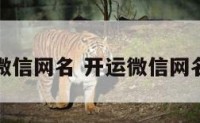 开运微信网名 开运微信网名大全