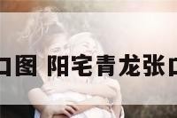 阳宅青龙张口图 阳宅青龙张口图正确答案