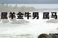 属马狮子女和属羊金牛男 属马狮子座和属羊白羊座