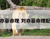 刘亦菲命理 刘亦菲命理配偶