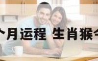 属猴今年每个月运程 生肖猴今年每月运势