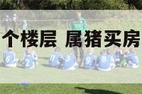 属猪人买房哪个楼层 属猪买房什么楼层最好的选择