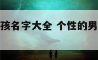 个性独特男孩名字大全 个性的男孩子名字大全