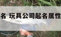 玩具公司起名 玩具公司起名属性木火的有什么字