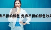 走廊吊顶的颜色 走廊吊顶的颜色效果图