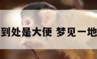 梦见地理到处是大便 梦见一地的屎粑粑