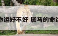 属马命运好不好 属马的命运咋样