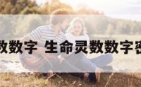 生命灵数数字 生命灵数数字密码解读