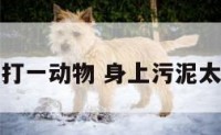 浑身污泥打一动物 身上污泥太多怎么办
